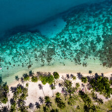 Vols Paris - Tahiti