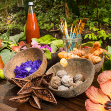 Produits naturels pour un atelier de teintures végétales - AOA Polynesian Forests