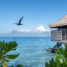 InterContinental Tahiti Resort & Spa - Stephane Mailion
