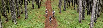 Vue aérienne sur des personnes faisant du vélo en montagne 